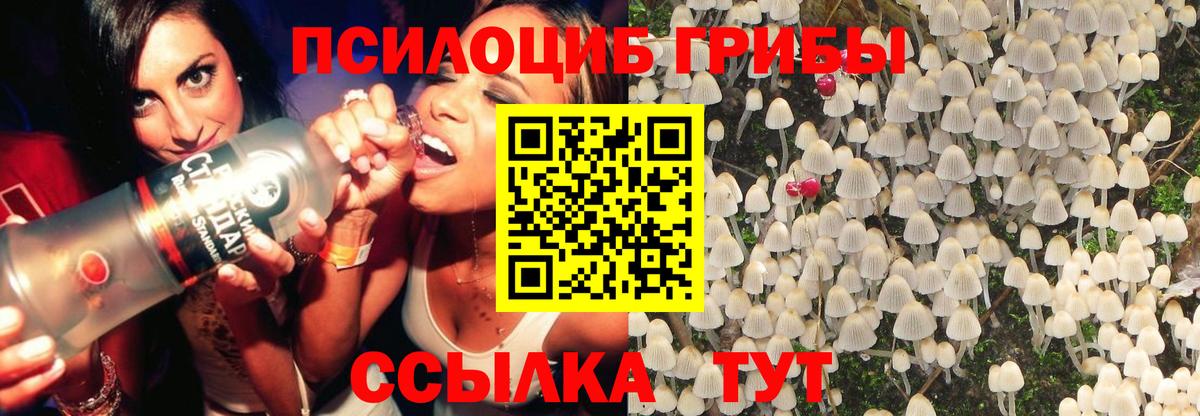 купить   Галлюциногенные грибы ЛСД  Вход с VPN  Псилоцибиновые грибы Magic Shrooms  Видное 